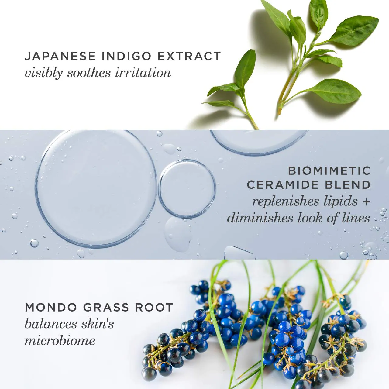 TATCHA Indigo Overnight Repair 07