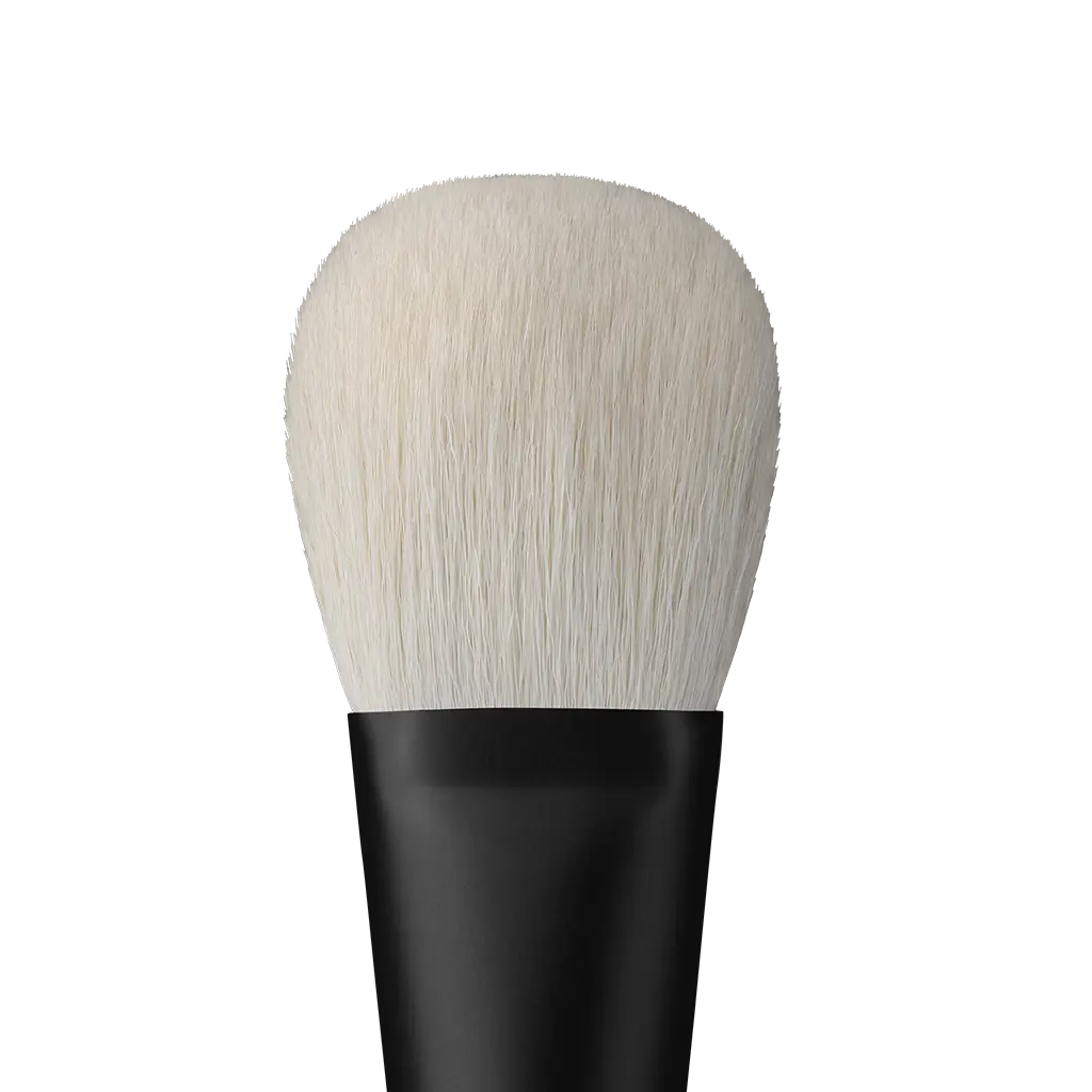 REPHR Brush 22 02