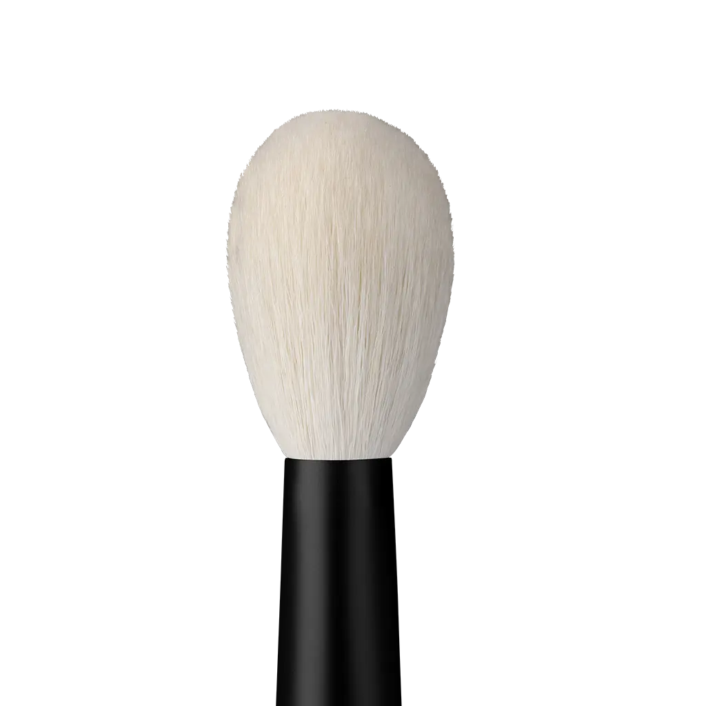 REPHR Brush 22 03