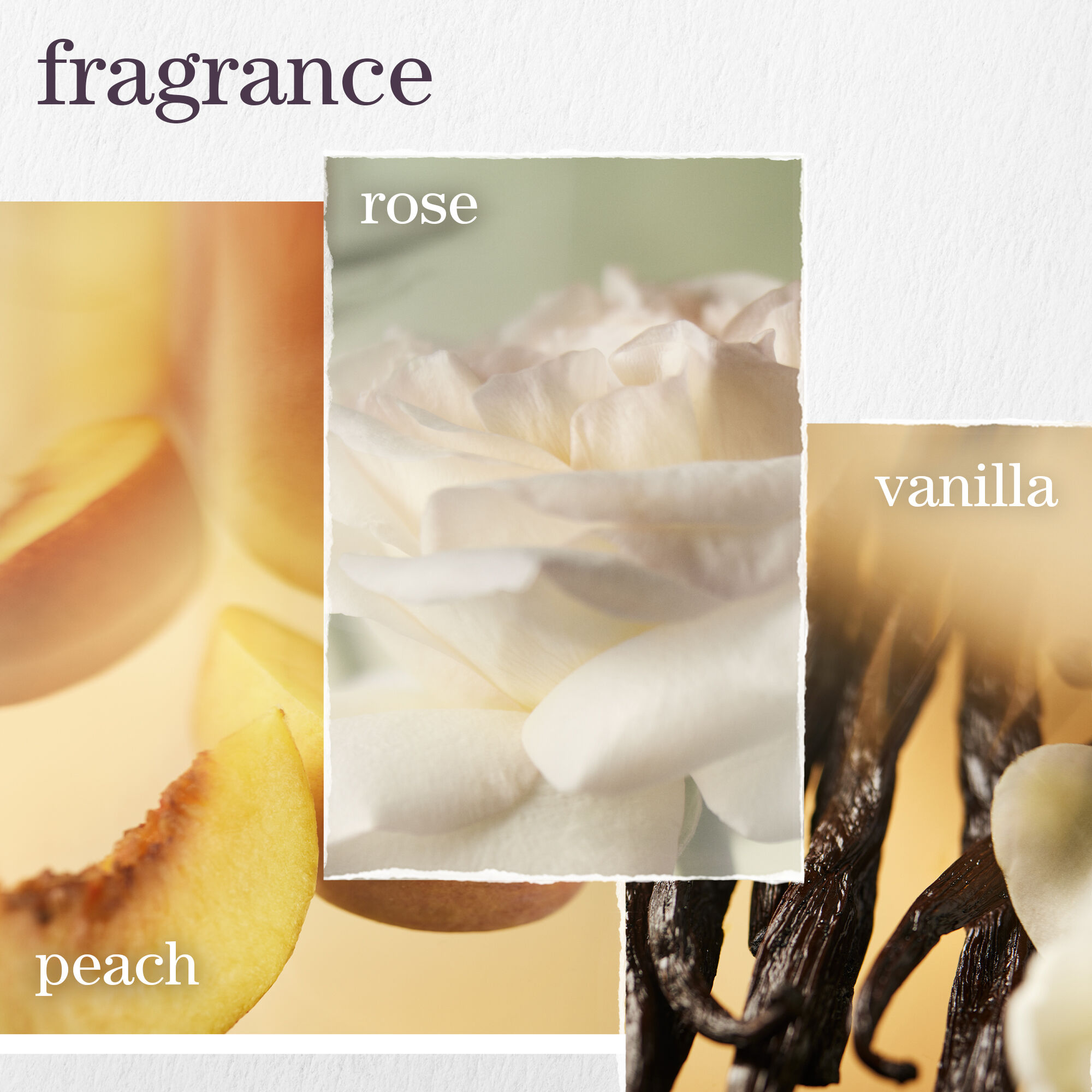 PUREOLOGY Strength Cure Blonde Conditioner 06