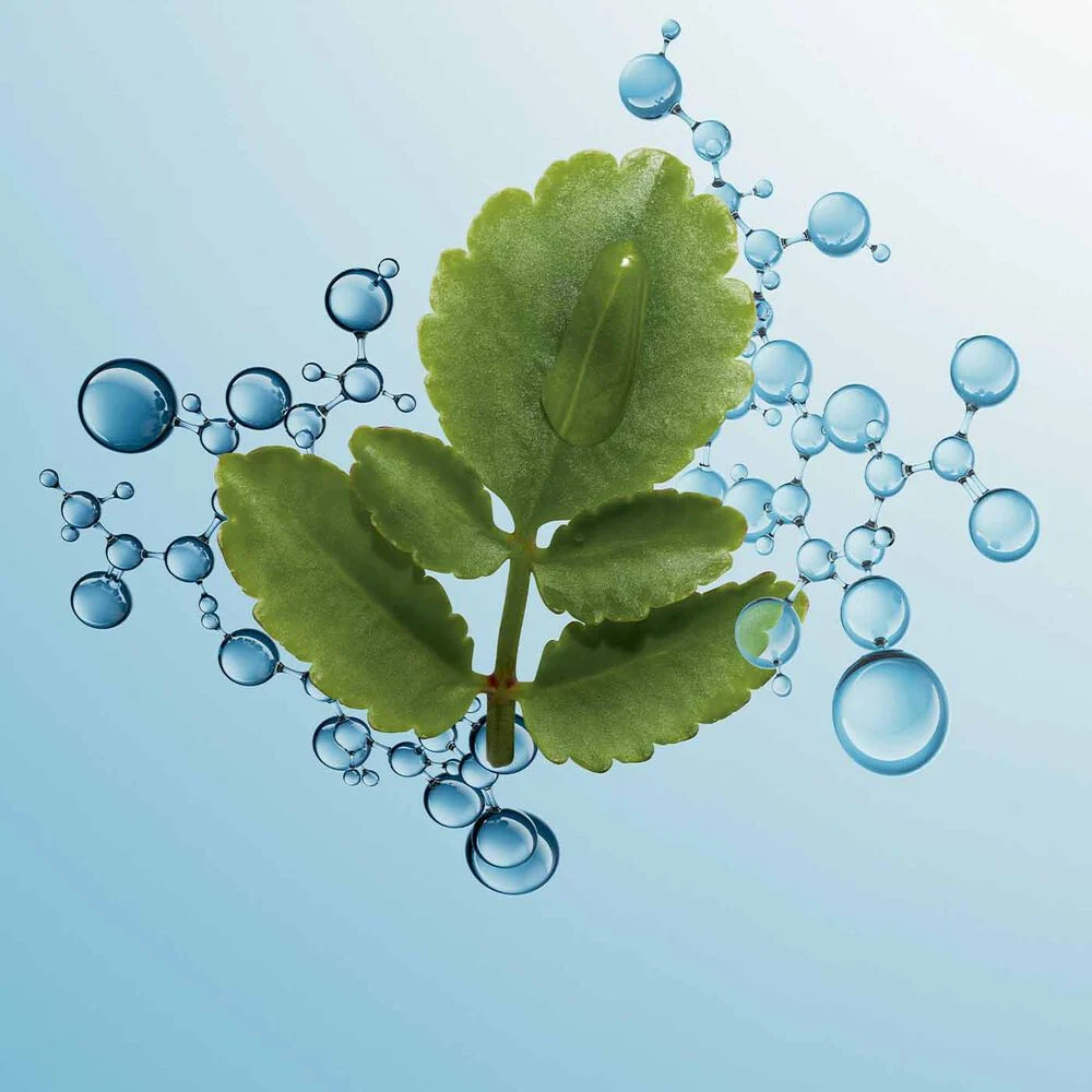 CLARINS Hydra Essentiel Day Cream Very Dry Skin 03