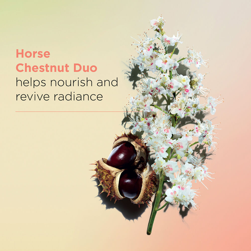 CLARINS Nutri Lumière Day Cream SPF15 - All Skin Types 03 CLARINS Nutri Lumiere Day Cream SPF15 All Skin Types 03